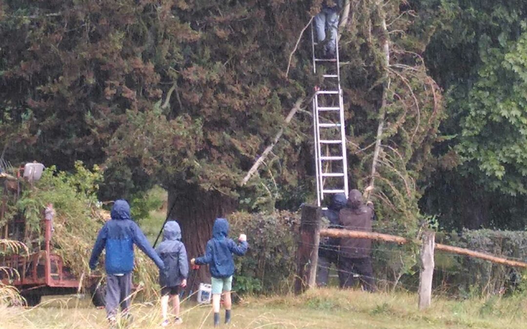 Session « les bénévoles entretiennent le site »